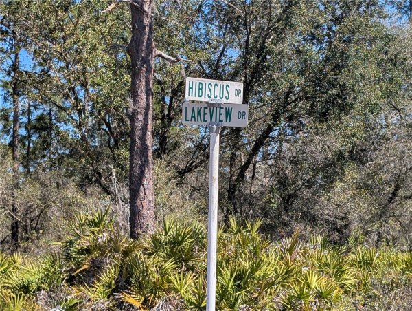 923 HIBISCUS Dr INDIAN LAKE ESTATES, FL 33855