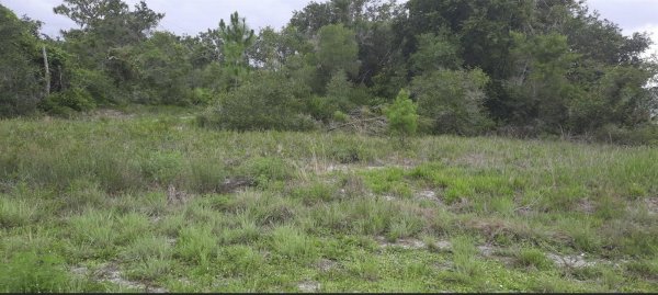 Park Ave INDIAN LAKE ESTATES, FL 33855