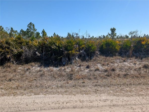 1211 PINNATA Dr INDIAN LAKE ESTATES, FL 33855