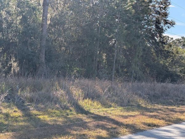 26 BANYAN Dr INDIAN LAKE ESTATES, FL 33855