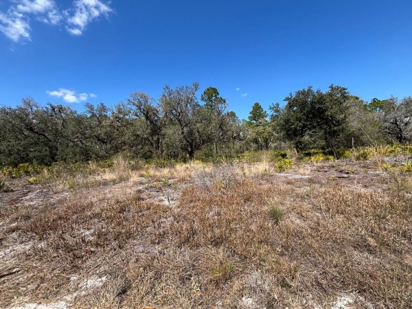 1006 PALM Ave INDIAN LAKE ESTATES, FL 33855