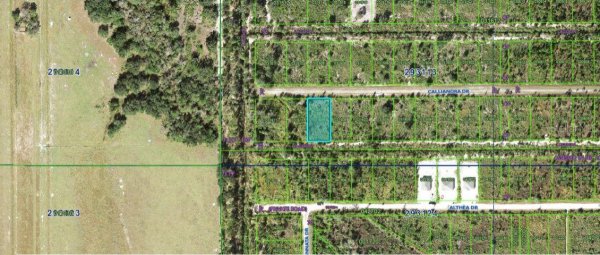CALLIANDRA Dr INDIAN LAKE ESTATES, FL 33855