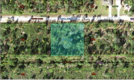 1023 GALLARDIA Dr INDIAN LAKE ESTATES, FL 33855