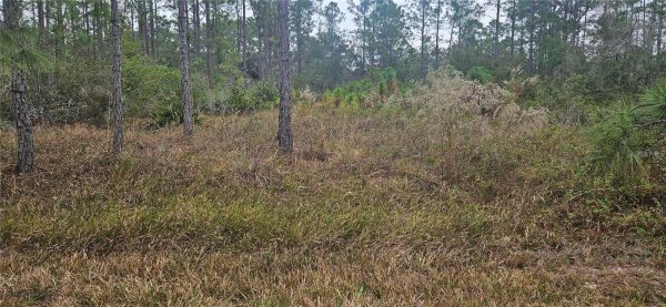 408 PANDORA Dr INDIAN LAKE ESTATES, FL 33855