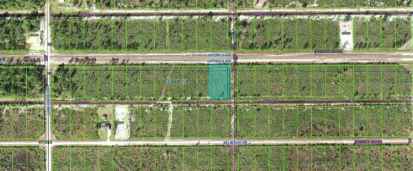 501 JAPONICA Ave INDIAN LAKE ESTATES, FL 33855