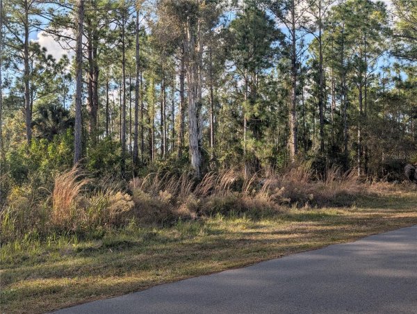 5 LANTANA Dr INDIAN LAKE ESTATES, FL 33855