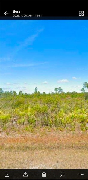 906 CALLIANDRA Dr INDIAN LAKE ESTATES, FL 33855