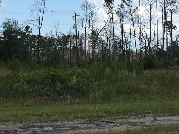 122 JAPONICA Dr INDIAN LAKE ESTATES, FL 33855