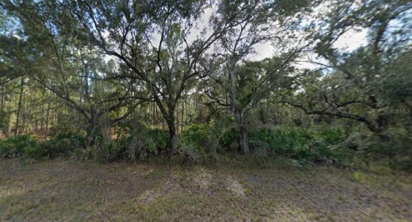 OLEANDER Dr INDIAN LAKE ESTATES, FL 33855