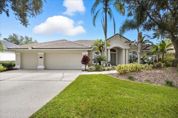 17923 ARBOR GREENE Dr TAMPA, FL 33647