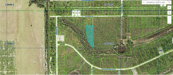 ALTHEA Dr INDIAN LAKE ESTATES, FL 33855