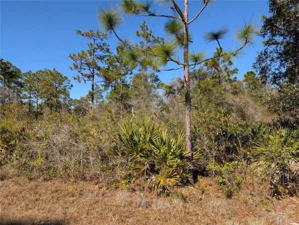 612 MAGNOLIA Dr INDIAN LAKE ESTATES, FL 33855