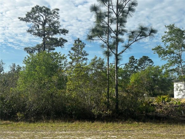 618 POINCIANA Dr INDIAN LAKE ESTATES, FL 33855