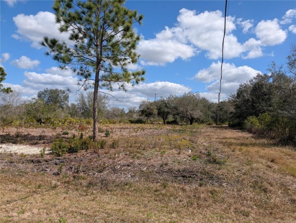 154 DESOTO Ave INDIAN LAKE ESTATES, FL 33855