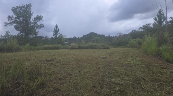 31 FORT MYERS Dr INDIAN LAKE ESTATES, FL 33855