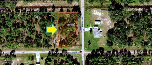 3250 PLUMOSA Dr INDIAN LAKE ESTATES, FL 33855