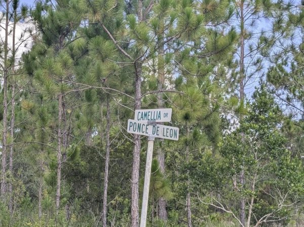 401 CAMELLIA Dr INDIAN LAKE ESTATES, FL 33855