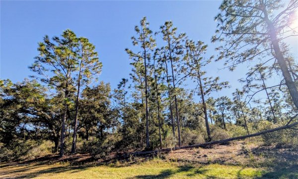 609 INDIAN Lk Dr INDIAN LAKE ESTATES, FL 33855