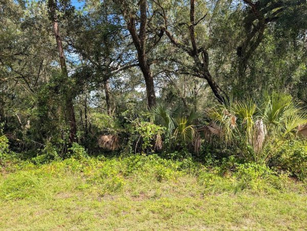 914 & 916 POINCIANA Dr INDIAN LAKE ESTATES, FL 33855